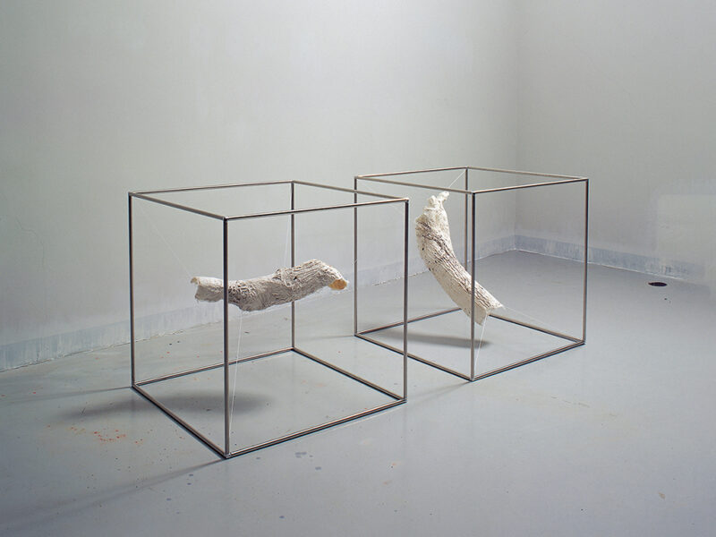 Quiescence2