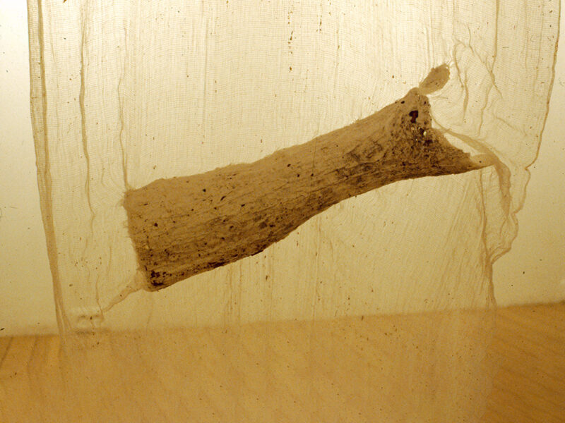 fragment